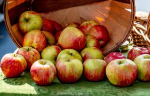 Apple Harvest Unsplash