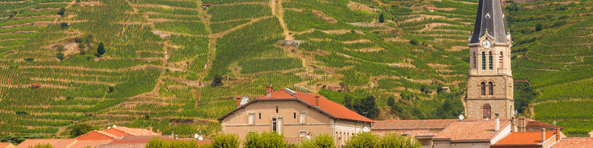 Rhone Valley